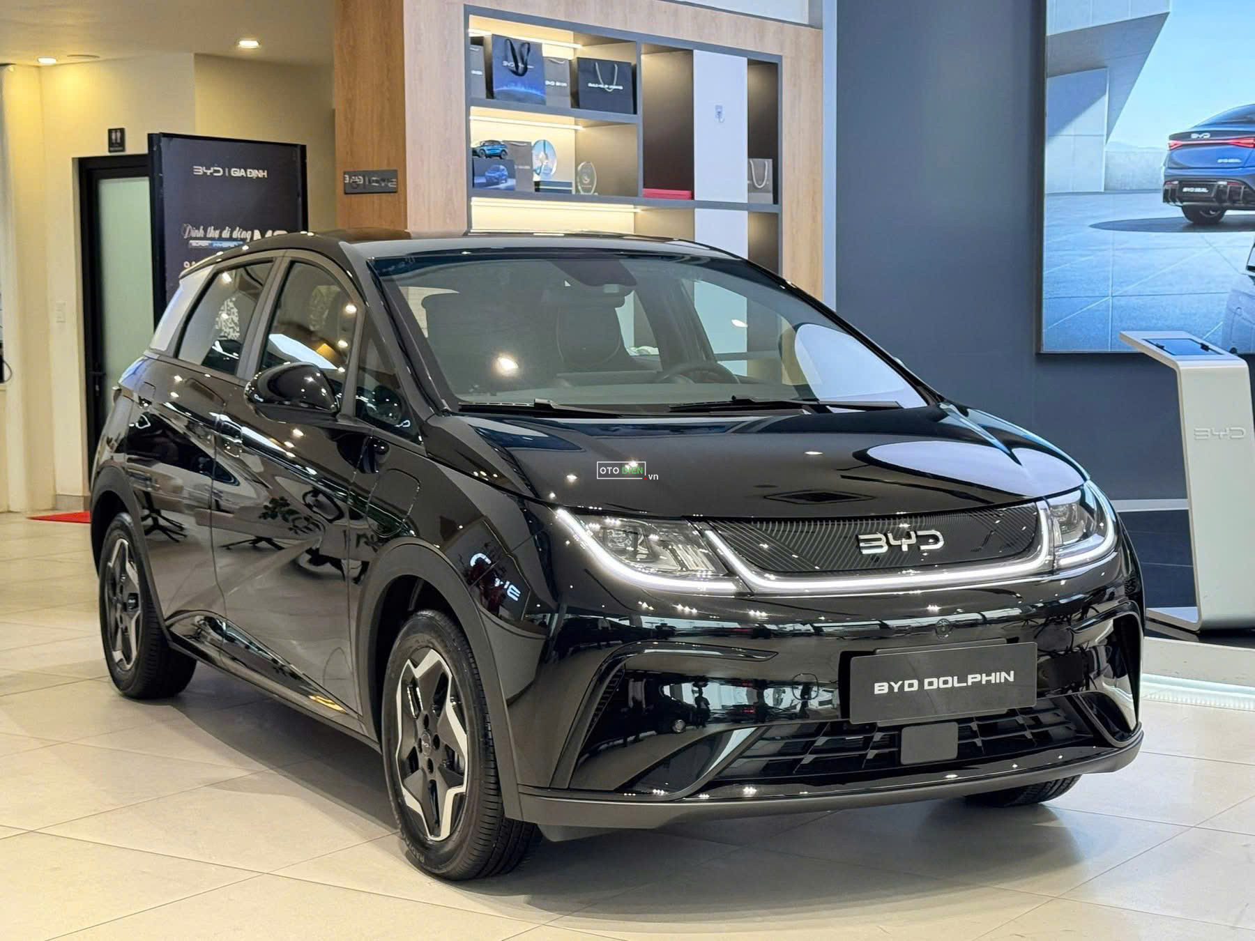 BYD Dolphin