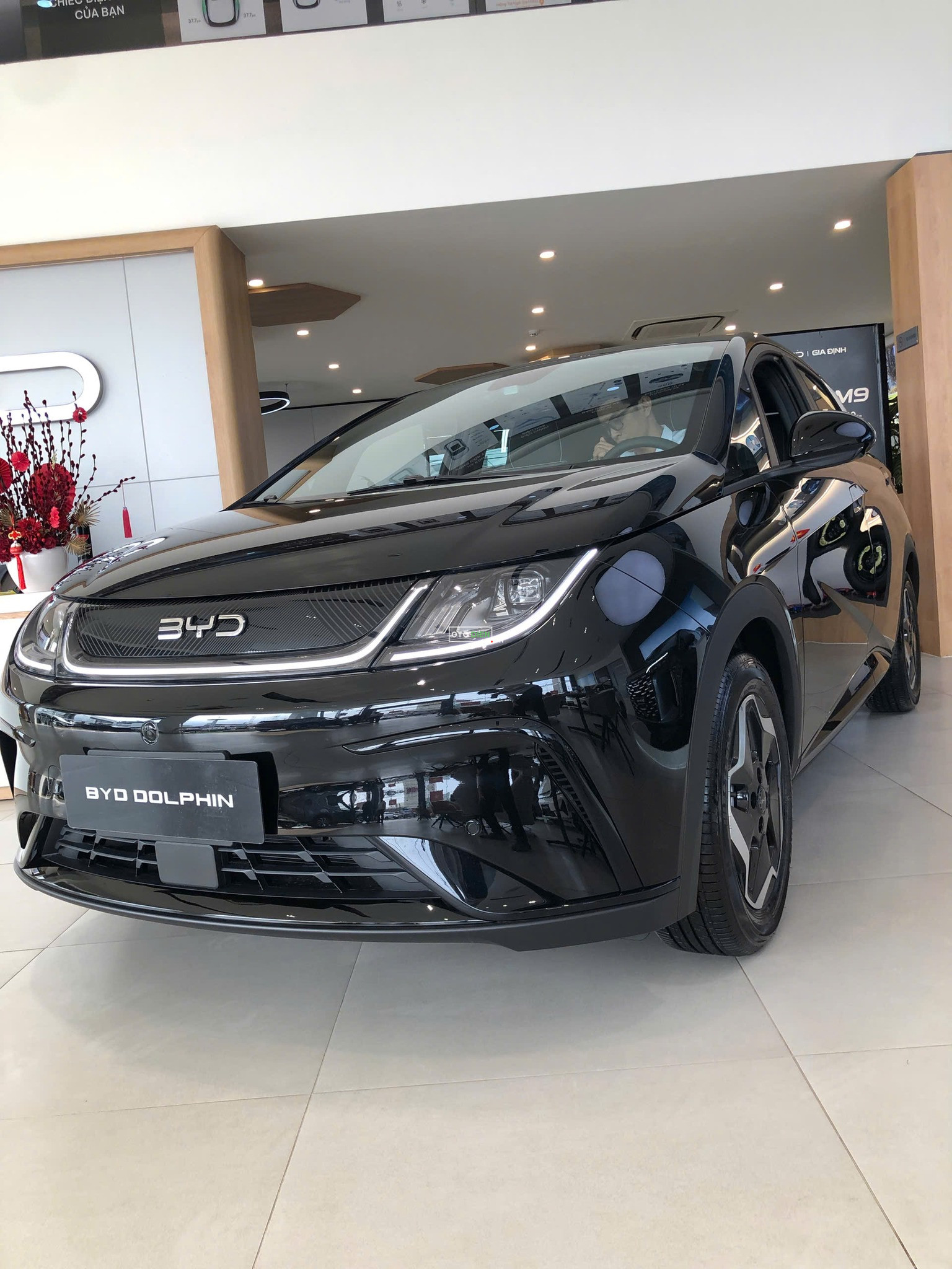 Hình ảnh đầu xe BYD Dolphin